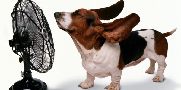 Mecanismo para bajar su calor