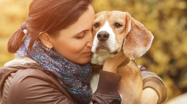 Los caninos detectan los cambios emocionales