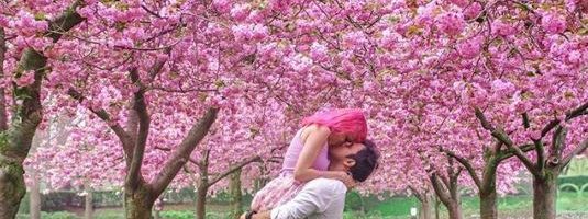 Se cree que pareja muere por obtener la mejor foto de todas en el Parque Yosemite